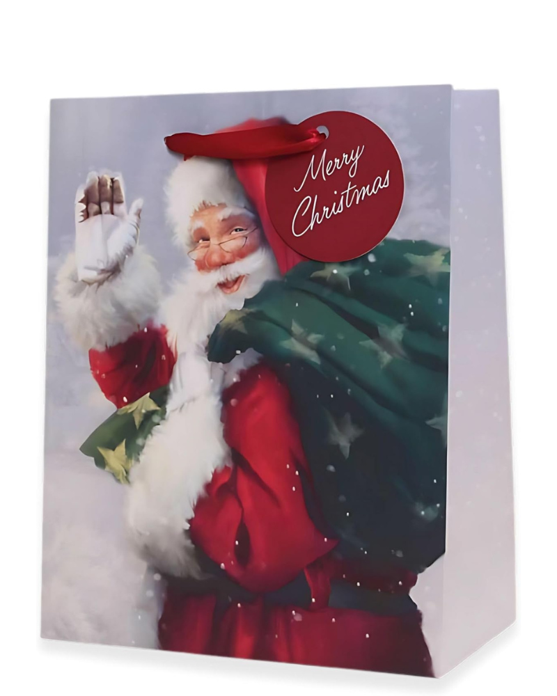 1 x Christmas Bag | Medium Size Gift Bag | 23 x 10 x 18cm | Merry Christmas Wishes Gift Bags | Xmas Bags | Perfect for Xmas Party Present Decorations | For Kids and Adults